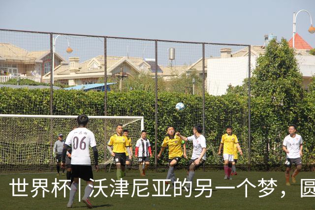 世界杯 | 沃津尼亚的另一个梦，圆了